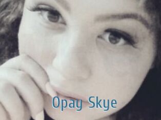 Opay_Skye