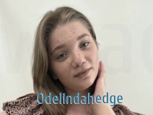 Odelindahedge