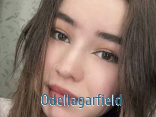 Odellagarfield