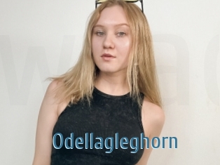 Odellagleghorn