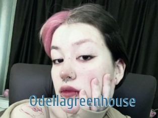 Odellagreenhouse