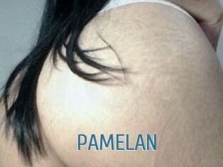 PAMELA_N