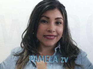 PAMELA_zv