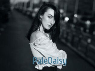 PaleDaisy