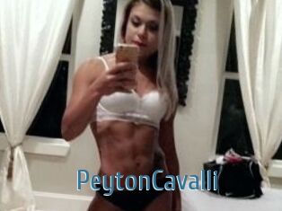 Peyton_Cavalli