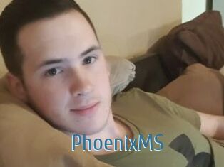 PhoenixMS