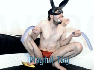 Playful_Toy