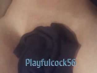 Playfulcock56