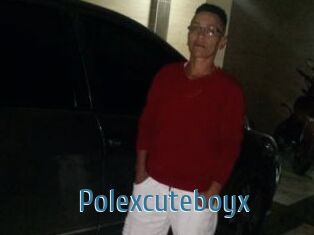 Polexcuteboyx