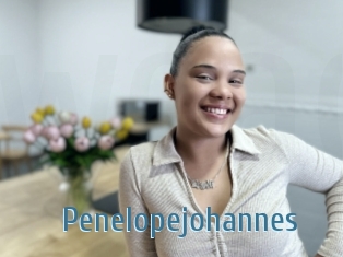 Penelopejohannes