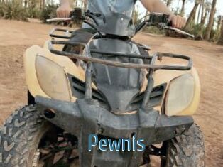 Pewnis