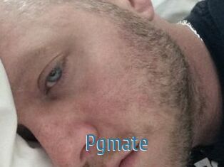 Pgmate