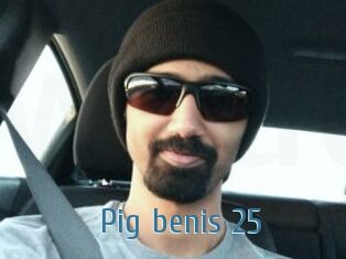 Pig_benis_25