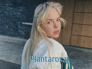 Plantarosa