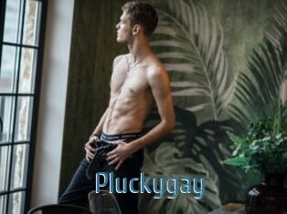 Pluckygay