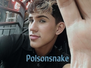 Poisonsnake