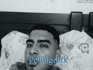 Pollbigdick