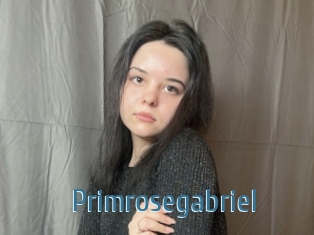 Primrosegabriel