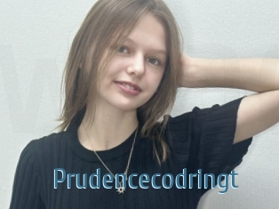 Prudencecodringt