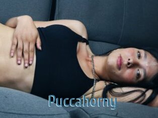 Puccahorny