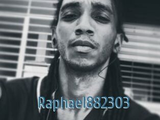 Raphael882303