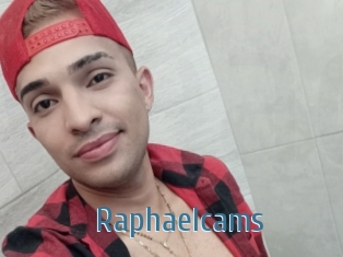 Raphaelcams