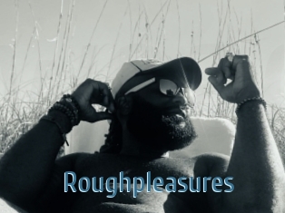 Roughpleasures