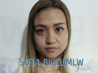 SOFIA_BIGCUMLW