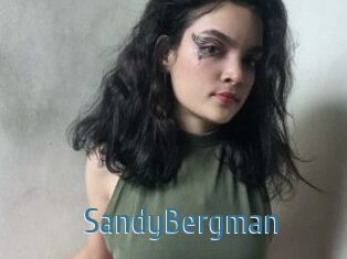 SandyBergman