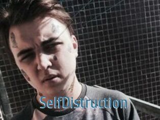 SelfDistruction