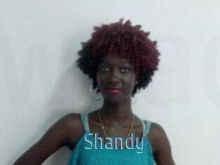 Shandy