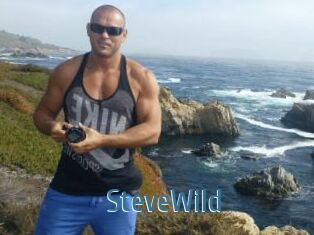 Steve_Wild