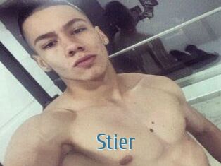 Stier