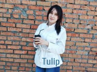 Tulip