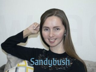Sandybush