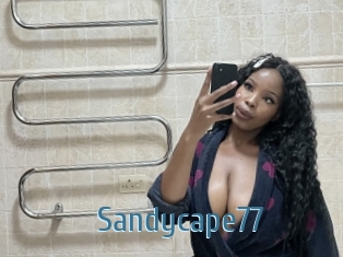 Sandycape77