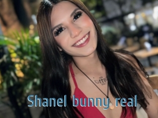 Shanel_bunny_real