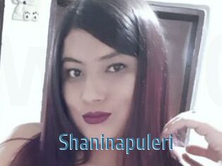 Shaninapuleri