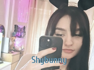 Shybunny