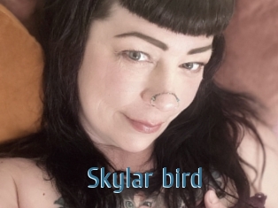 Skylar_bird