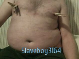 Slaveboy3164