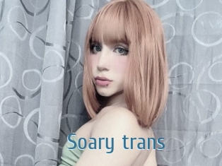 Soary_trans