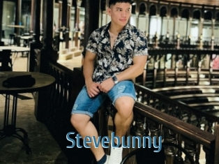 Stevebunny