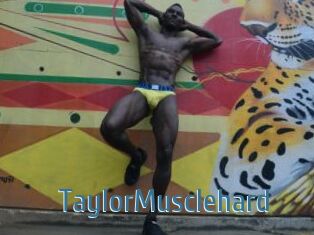 TaylorMusclehard