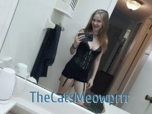 TheCatsMeowprrr