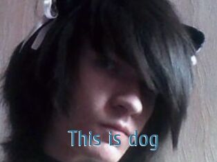This_is_dog