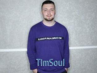 TimSoul