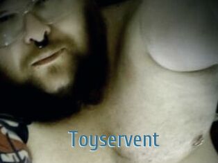 Toyservent