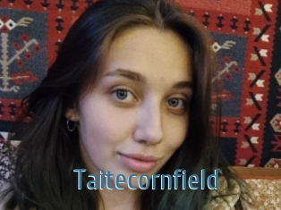 Taitecornfield