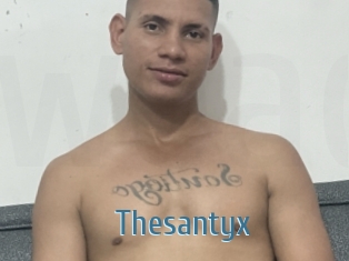 Thesantyx